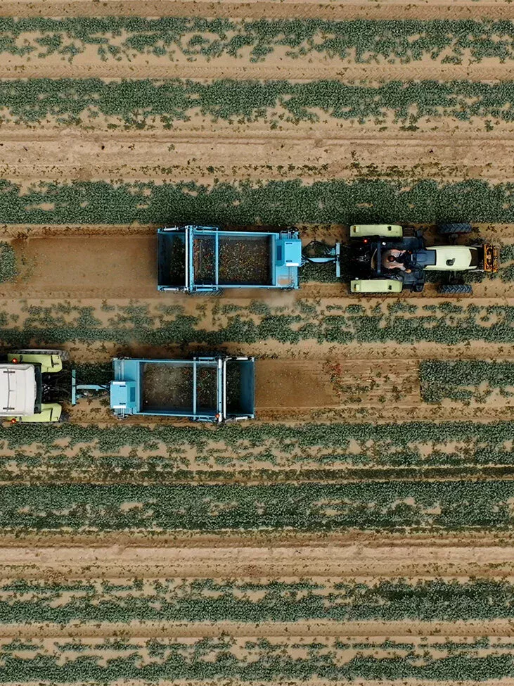 BeachTech en un semillero